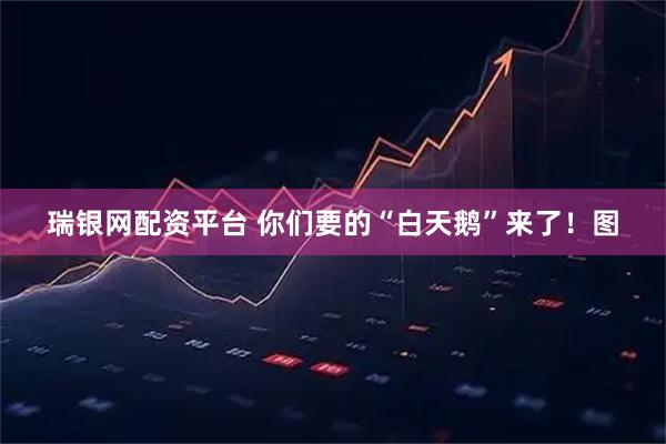 瑞银网配资平台 你们要的“白天鹅”来了!图