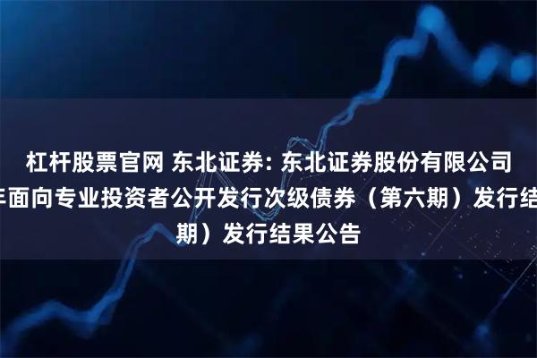 杠杆股票官网 东北证券: 东北证券股份有限公司2025年面向专业投资者公开发行次级债券(第六期)发行结果公告
