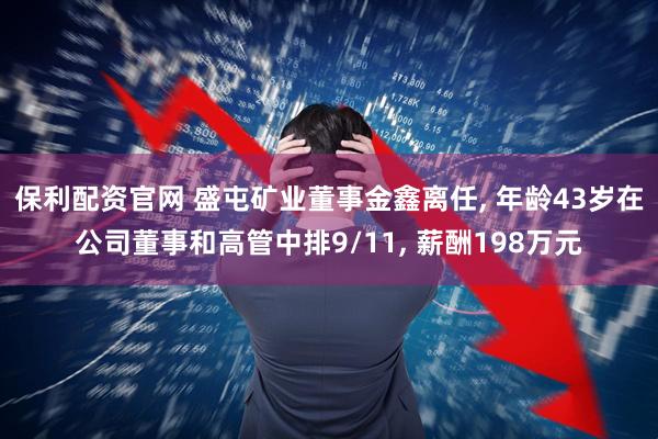 保利配资官网 盛屯矿业董事金鑫离任, 年龄43岁在公司董事和高管中排9/11, 薪酬198万元